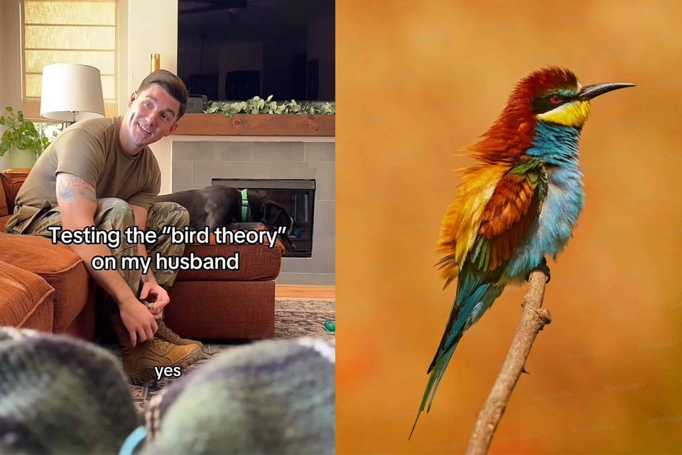 Στο κέντρο της θεωρίας βρίσκεται το «bid for connection», ο «πόντος επαφής» που περιέγραψαν οι John και Julie Gottman πριν από τέσσερις δεκαετίες / TIKTOK