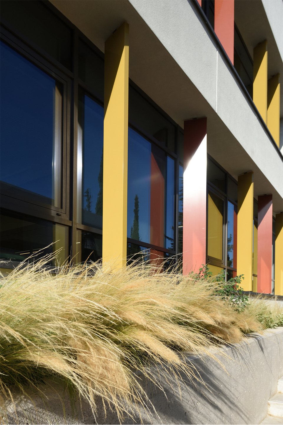 Kassandra Center for Educational Excellence / IB – Anatolia College από το γραφείο Deda &amp; Architects.