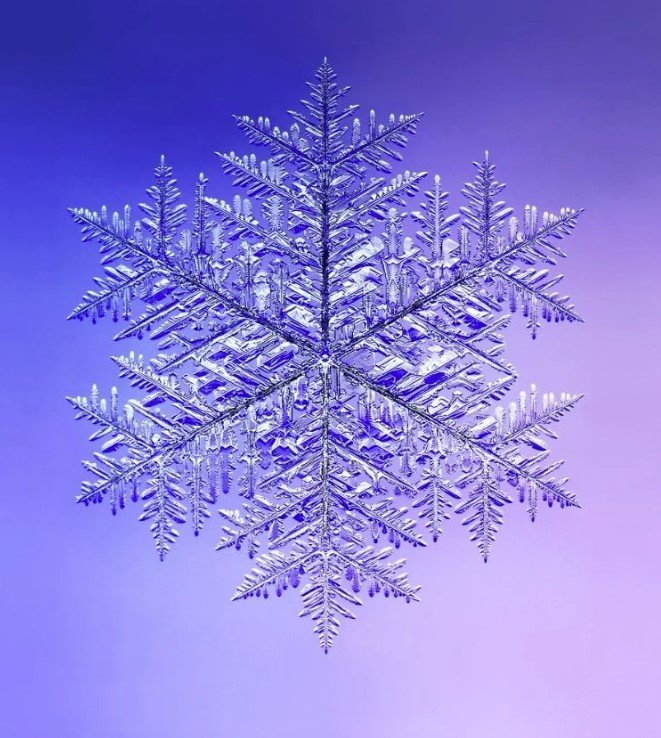 Ενας φυσικός, εξαγωνικός κρύσταλλος χιονιού, με διάμετρο περίπου ένα εκατοστό από άκρη σε άκρη. Το μέγεθος αυτό τον καθιστά τον μεγαλύτερο τεκμηριωμένο φυσικό κρύσταλλο χιονιού που έχει φωτογραφηθεί ποτέ / Ken Libbrecht