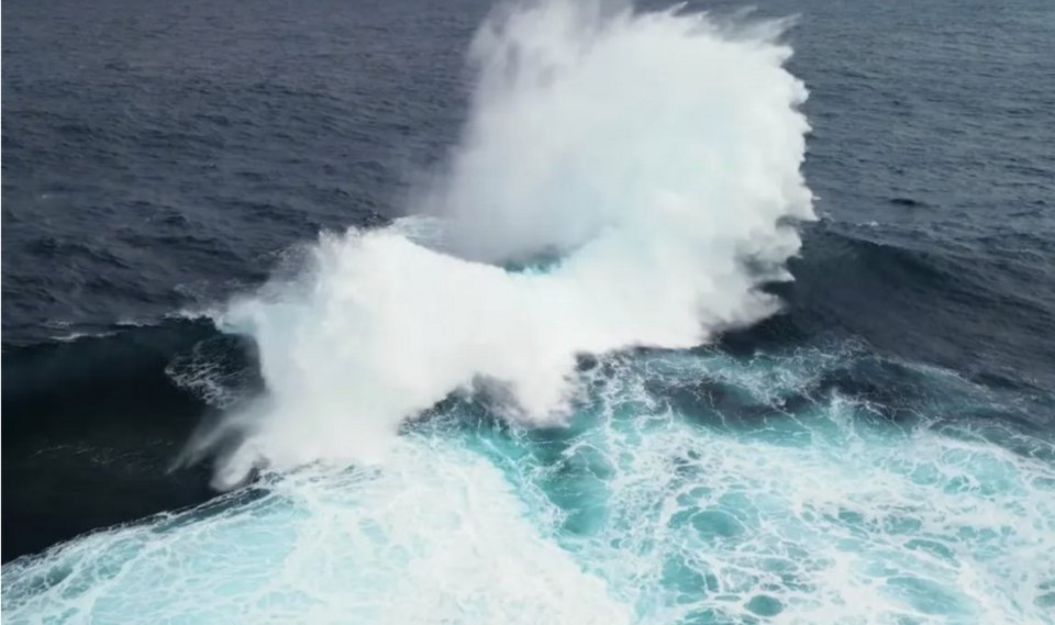 Σε ρηχά νερά, ανοιχτά της Αυστραλίας, εκεί όπου ο βυθός δεν είναι απλώς επίπεδος αλλά σχηματίζει έναν σχεδόν τέλειο κυκλικό ύφαλο, συμβαίνει κάτι που αρχικά μοιάζει λάθος, σαν σφάλμα στην προσομοίωση της φύσης / ΥΟUTUΒΕ 