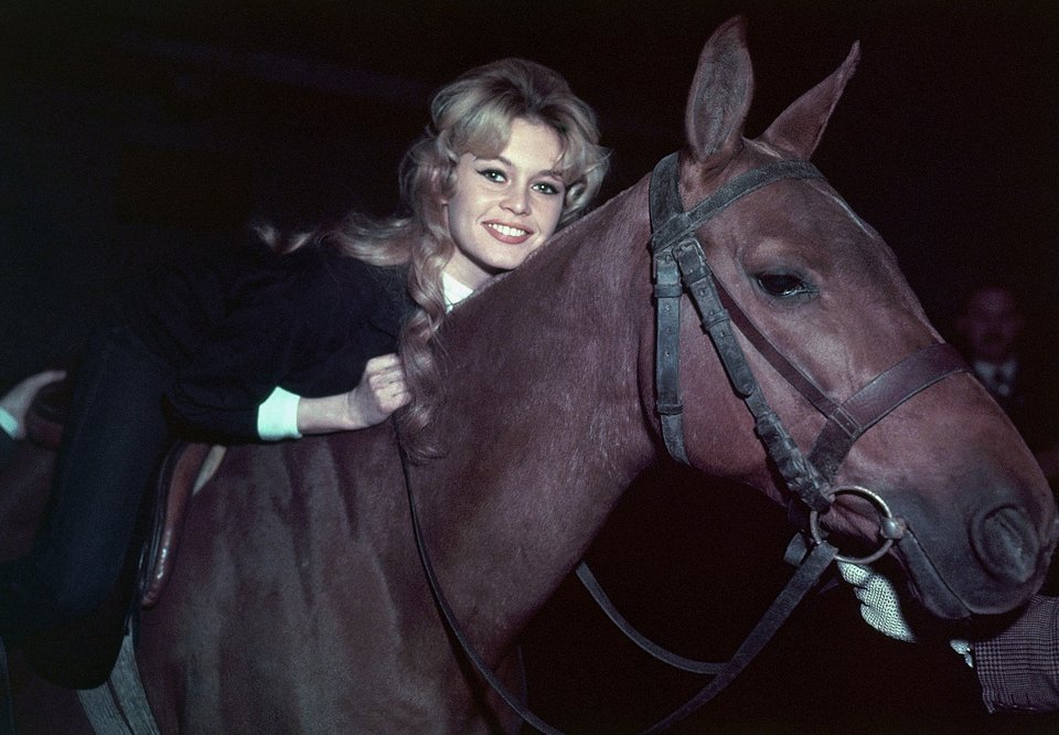 Η Μπριζίτ Μπαρντό με το αγαπημένο της άλογο, κατά τη διάρκεια προπόνησης σε σχολή ιππασίας στο Παρίσι για την επερχόμενη ταινία της το 1958, στην Ισπανία