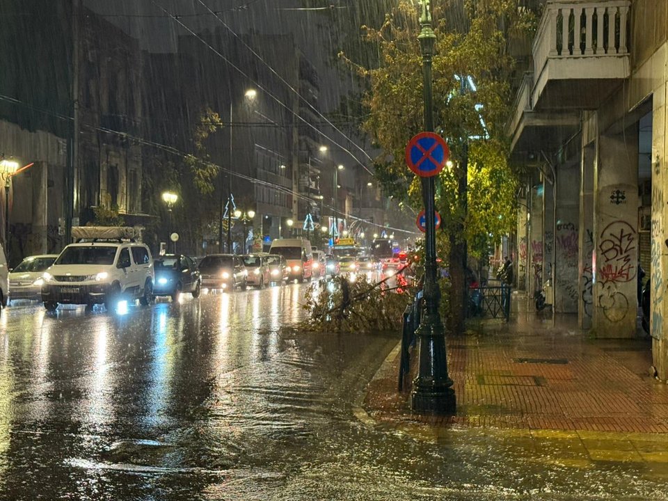 Δέντρο έπεσε στην Πειραιώς