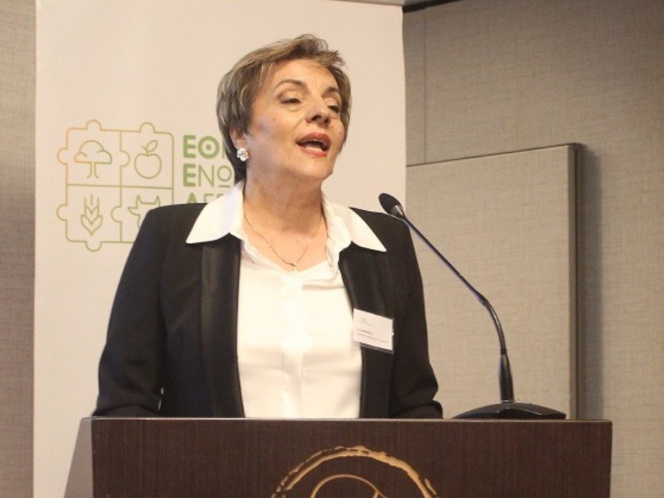 Η Διαμάντω Κρητικού