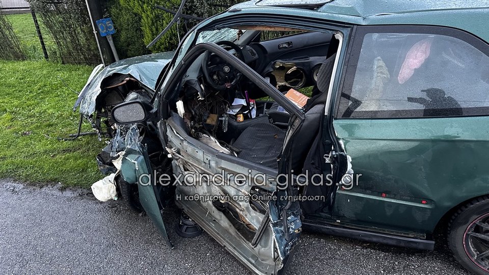 Φωτογραφία: alexandreia-gidas.gr