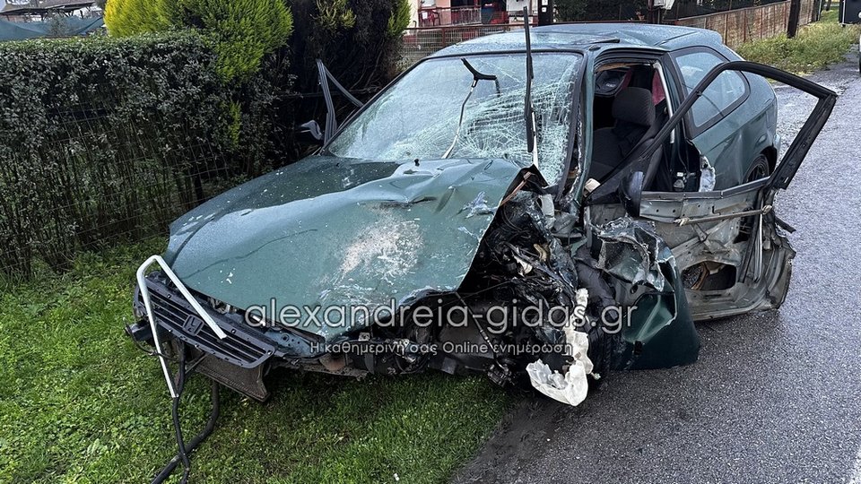 Φωτογραφία: alexandreia-gidas.gr