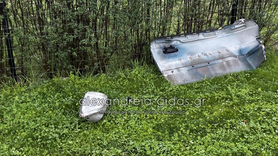 Φωτογραφία: alexandreia-gidas.gr