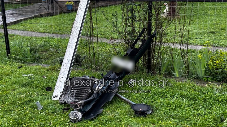 Φωτογραφία: alexandreia-gidas.gr