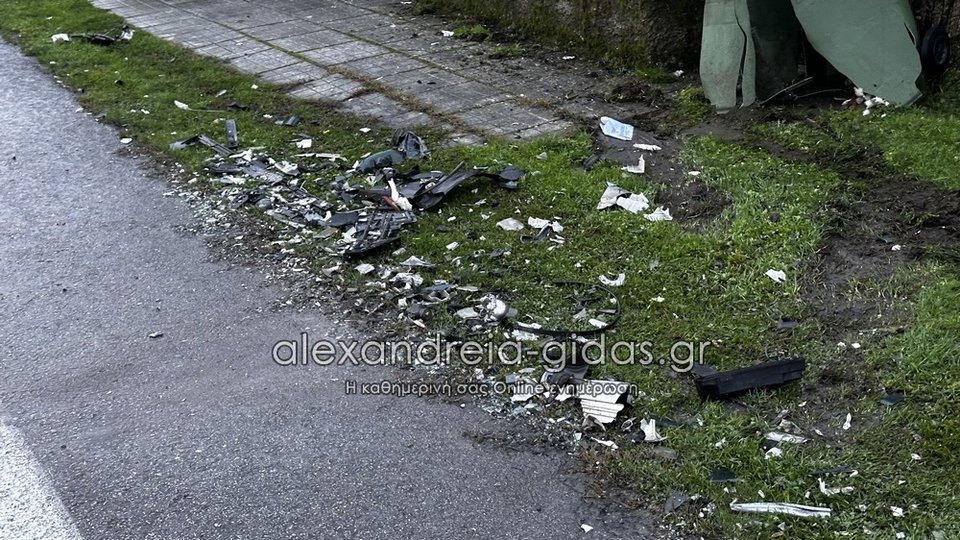 Φωτογραφία: alexandreia-gidas.gr