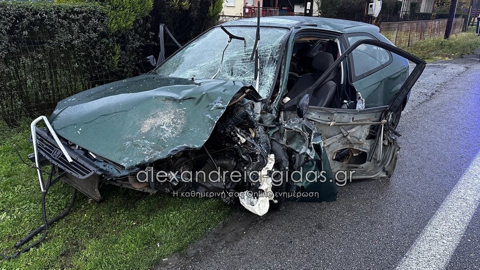 Φωτογραφία: alexandreia-gidas.gr