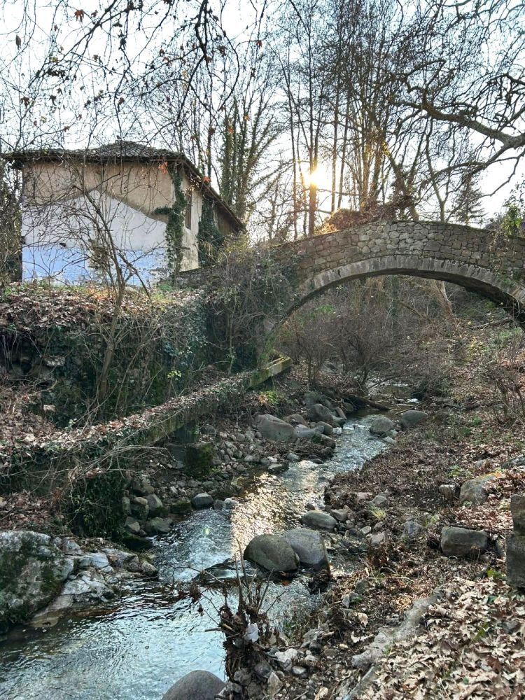 Το Κάτω Καρυόφυτο, φωλιασμένο στα 500 μέτρα μέσα στην «αγκαλιά» της οροσειράς της Ροδόπης