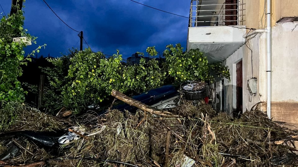 Πτώση δέντρου στη Λακωνία / Φωτογραφία EUROKINISSI 
