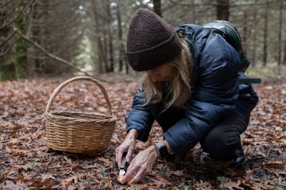 «Πρέπει να τα πιάνεις από πάνω και να τα τραβάς ή να τα κόβεις από κάτω και μετά να σκεπάζεις με φύλλα και κλαδιά την τρύπα»