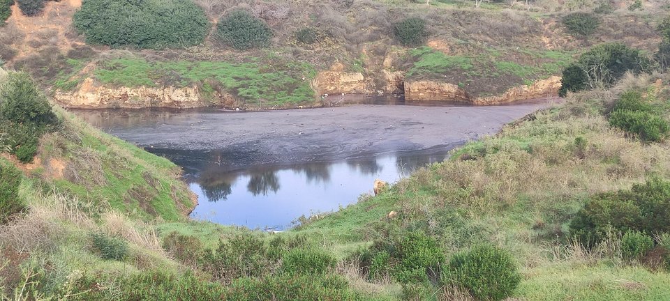 Φωτογραφία : Γενική Αστυνομική Διεύθυνση Θεσσαλονίκης  