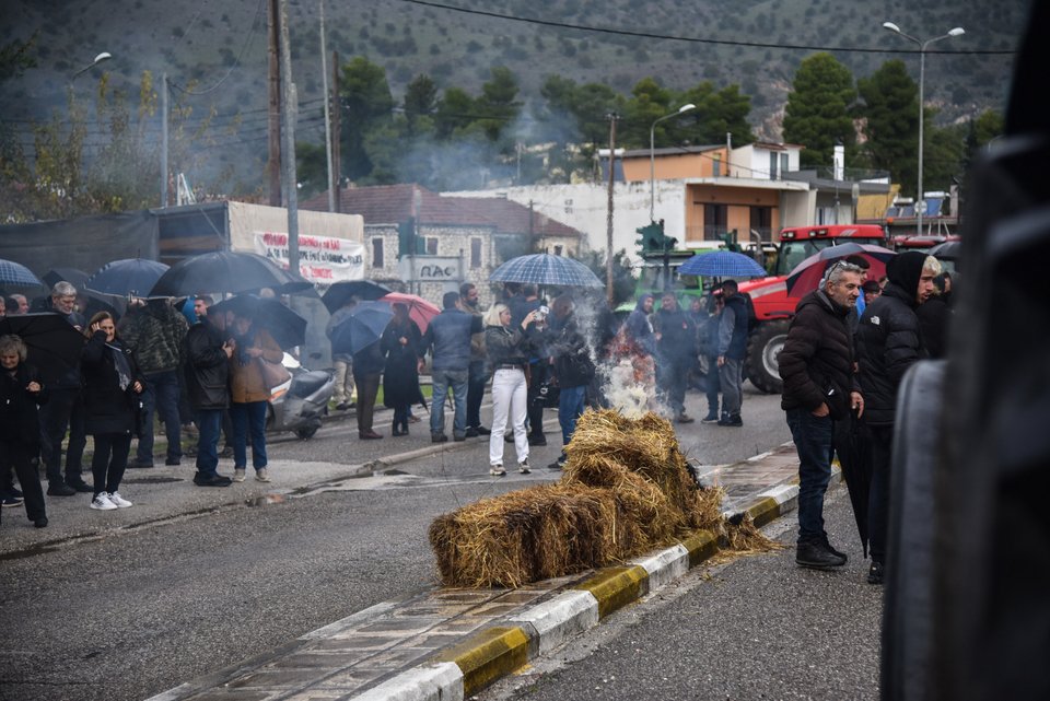 Kαίνε σανό οι αγρότες / (ΓΙΩΡΓΟΣ ΕΥΣΤΑΘΙΟΥ/EUROKINISSI)
