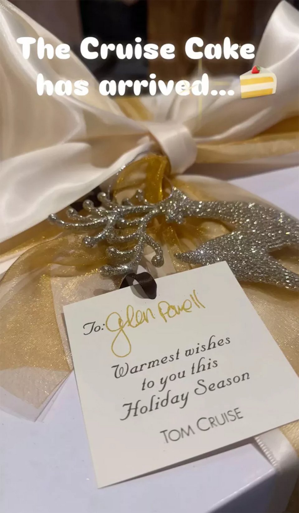 Ο Τομ Κρουζ στέλνει κάθε χρόνο μια χριστουγεννιάτικη τούρτα σε συναδέλφους του / Φωτογραφία: Instagram