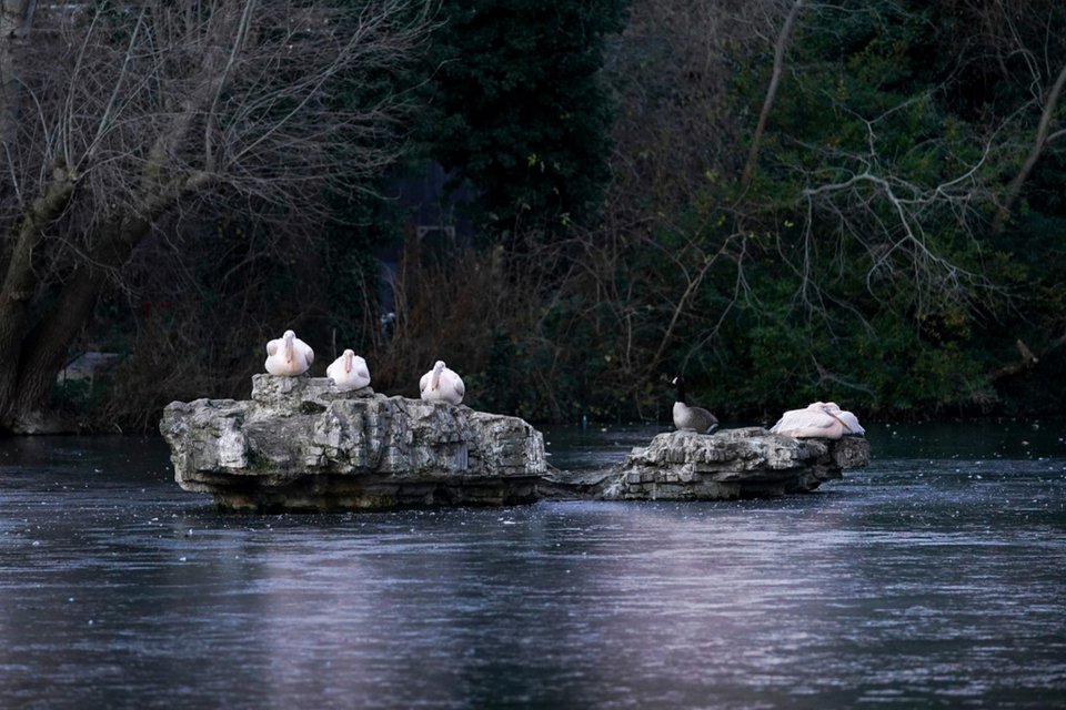 Στους -8 έφτασε η θερμοκρασία στο Λονδίνο