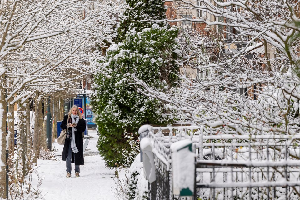 Φωτογραφία: ΑΡ