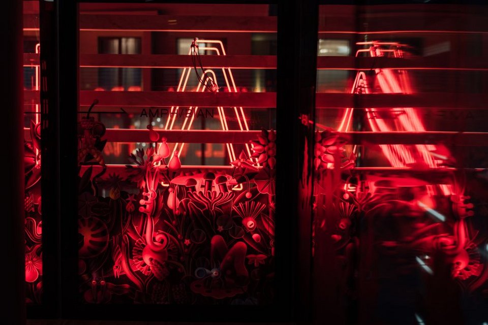 . Το Amphibian είναι ανοιχτό καθημερινά από τις 18.30 το απόγευμα, ενώ τις Κυριακές λειτουργεί με ωράριο ματινέ από τις 14.00, όπως οι παραγωγές της Στέγης