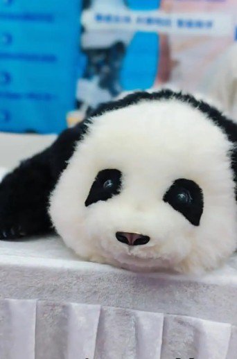 Το βιονικό πάντα An’An με τεχνητή νοημοσύνη, από τη Mind With Heart Robotics, λειτουργεί ως σύντροφος για ηλικιωμένους ή παιδιά που δυσκολεύονται στις κοινωνικές δεξιότητες