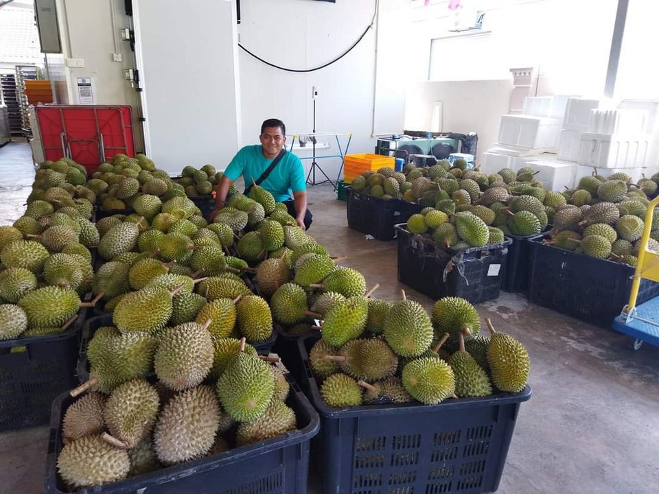 Το 2024, η Κίνα εισήγαγε ντουριάν αξίας 7 δισ. δολαρίων, τριπλάσιας σε σχέση με το 2020, και πλέον απορροφά πάνω από το 90% των παγκόσμιων εξαγωγών / WIKIPEDIA