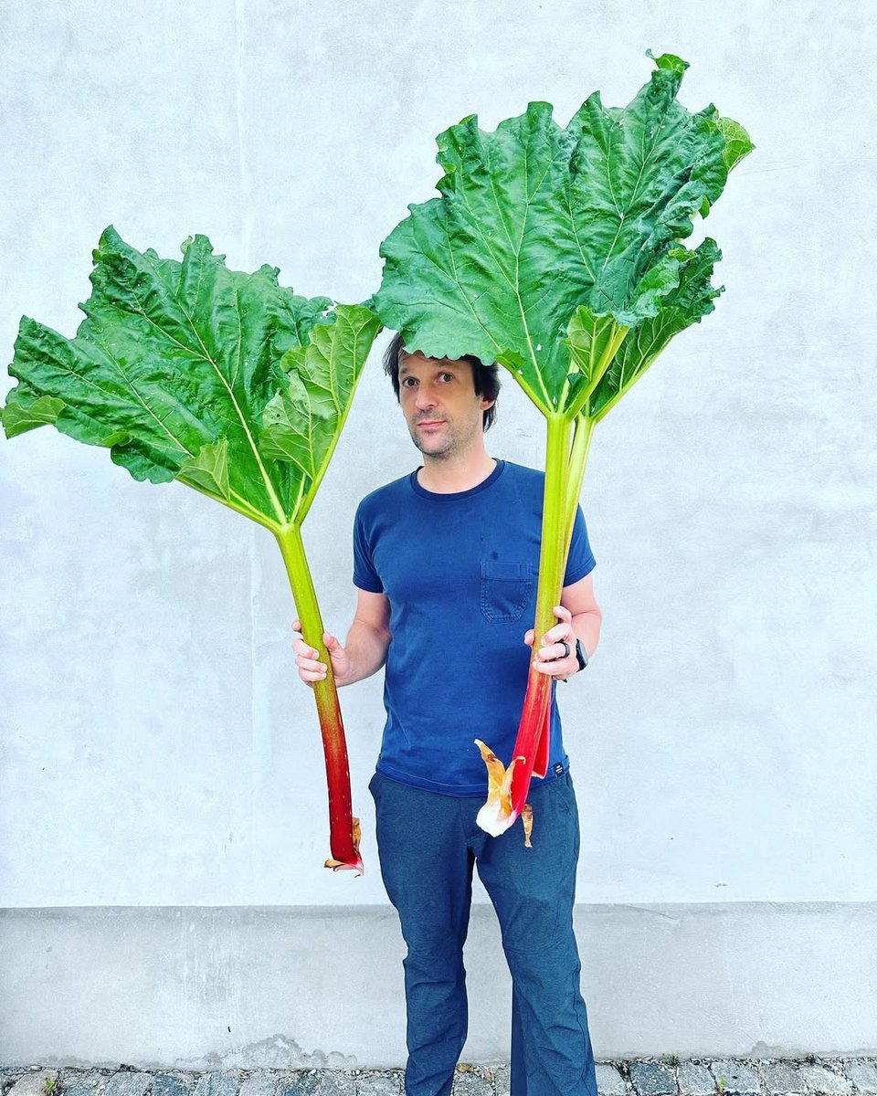 Ο σεφ Ρενέ Ρεντζέπι