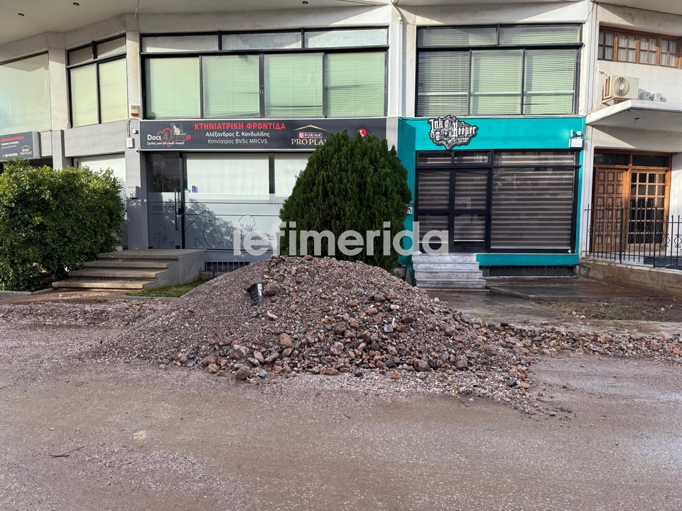 Φωτογραφία: iefimerida.gr / Ειρήνη Μιλή