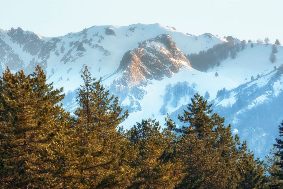 Κόνιτσα Γράμμος βουνό 