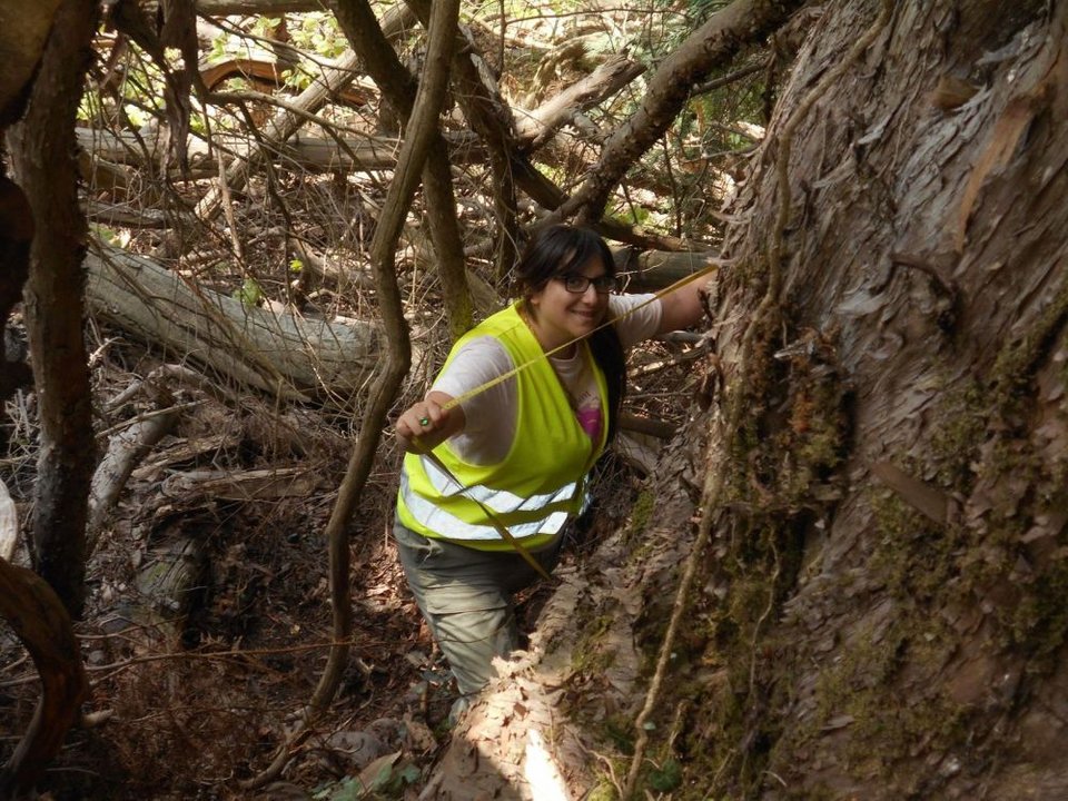 «Η πρόσβαση στη θέση απαιτεί πεζοπορία περίπου δύο ωρών»