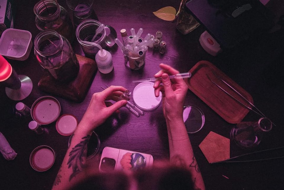 Η προετοιμασία των δειγμάτων 