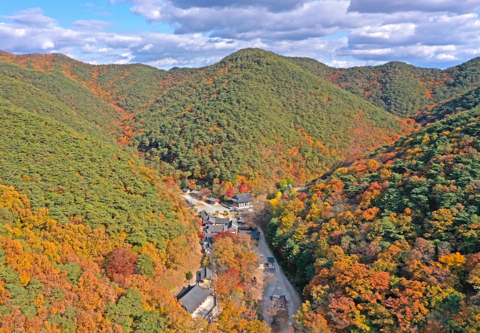 Εναέρια άποψη του Ναού Gounsa περιτριγυρισμένου από δέντρα σφενδάμου 