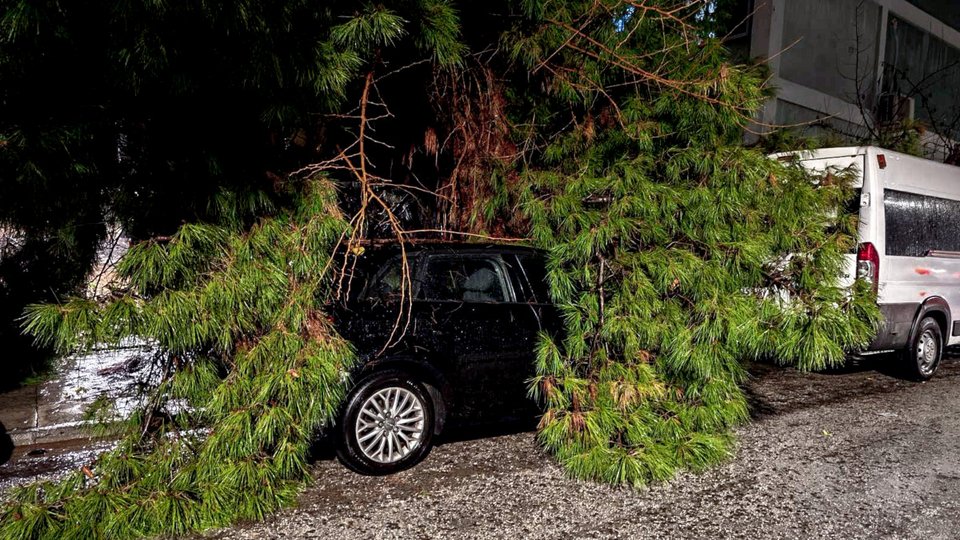 Πτώση δέντρου σε ΙΧ στο Νέο Κόσμο / Φωτογραφία EUROKINISSI 