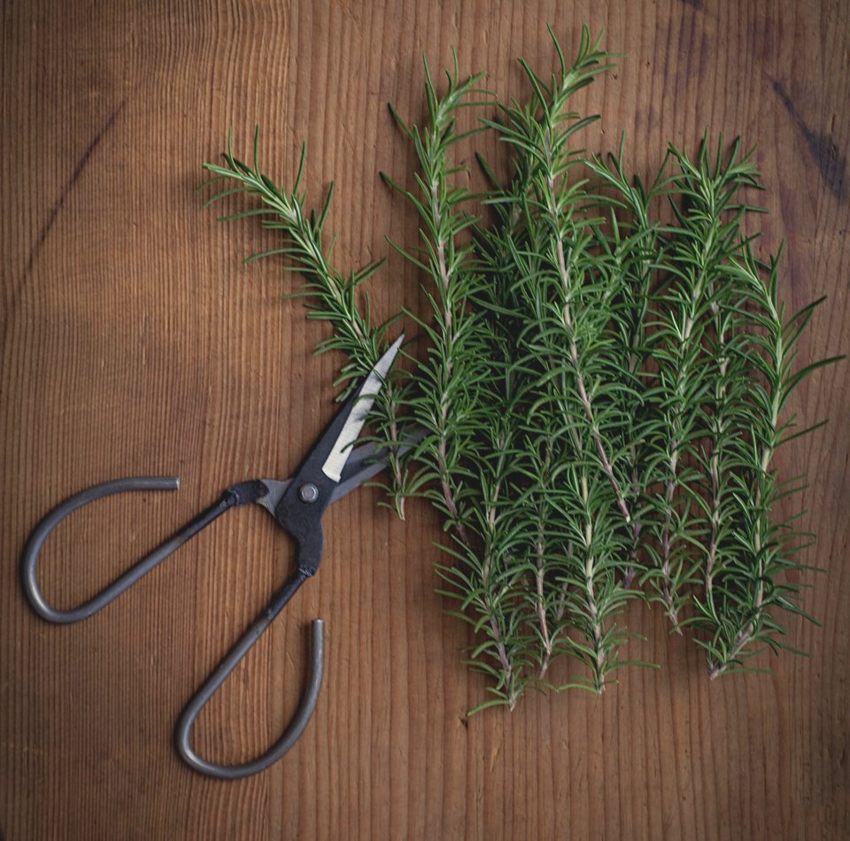 Ψαλίδι κουζίνας / Φωτογραφία: Unsplash