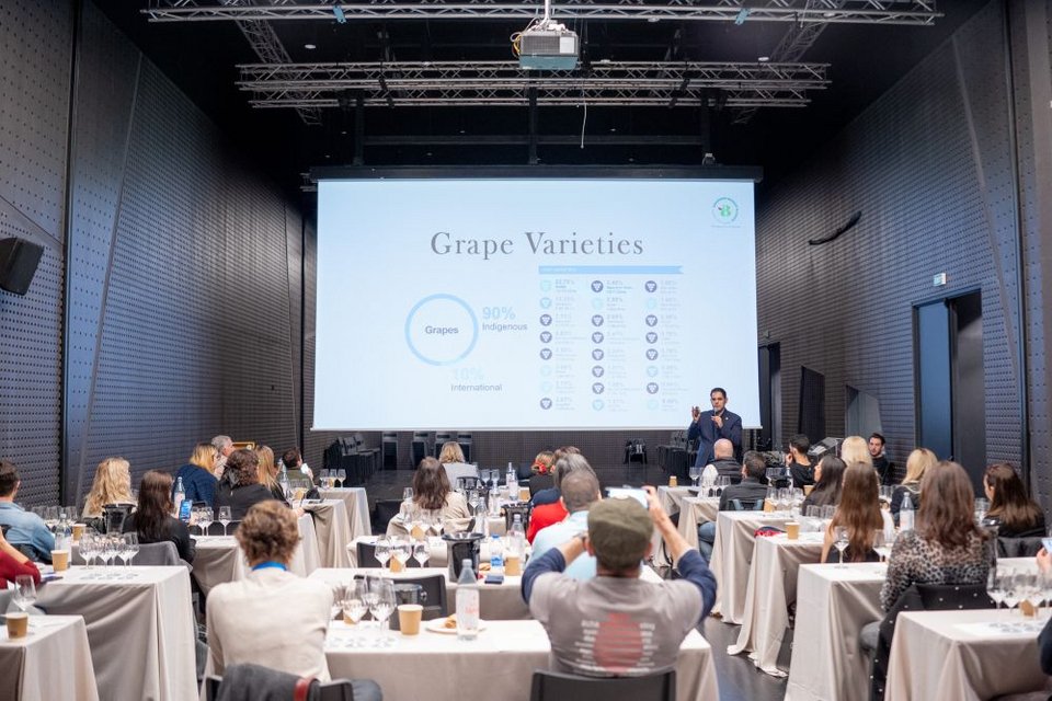 Στιγμιότυπο από masterclass στα Βοροινα με τον Αρη Σκλαβενίτη 