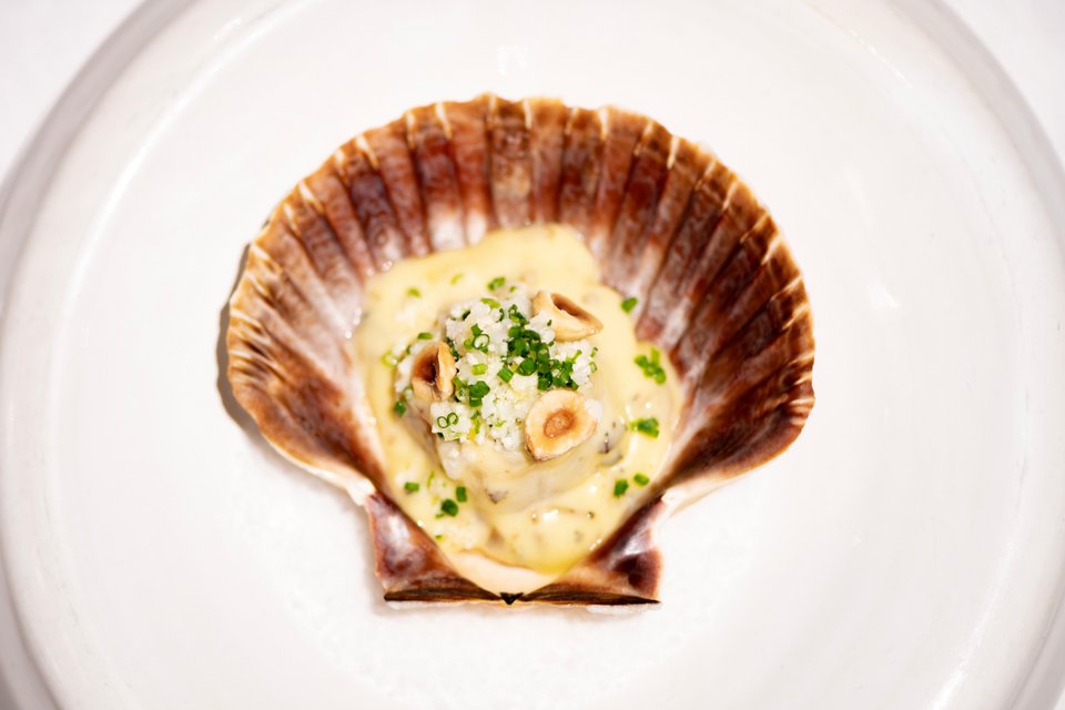 Ψητά χτένια με καραμελωμένο πουρέ κουνουπιδιού / Φωτογραφία: Monzù 