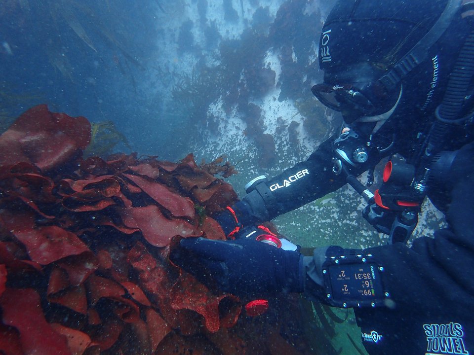 Εξερευνώντας τον βυθό της Ανταρκτικής