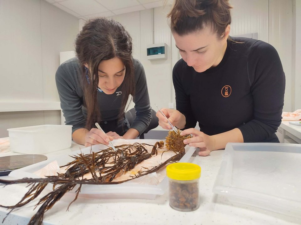 Οι δυο Ελληνίδες στο εργαστήριο