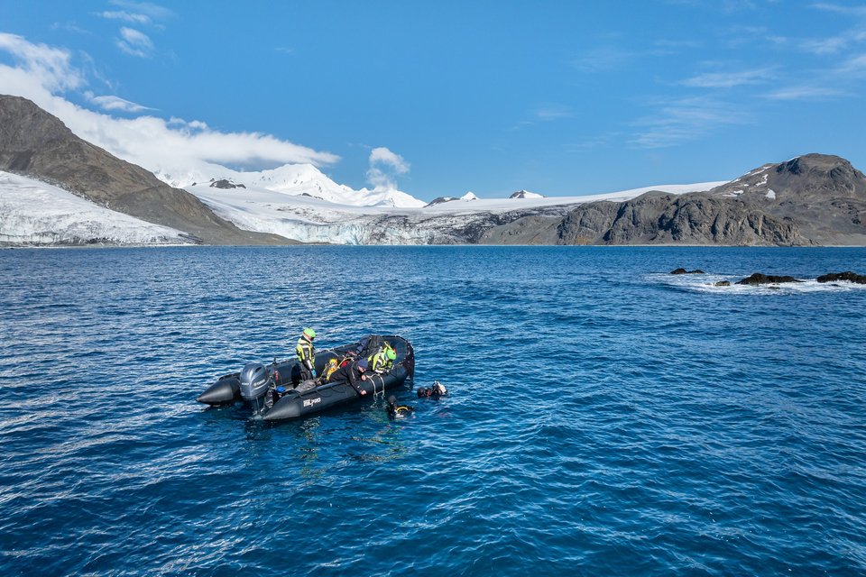 Στα παγωμένα νερά της Ανταρκτικής