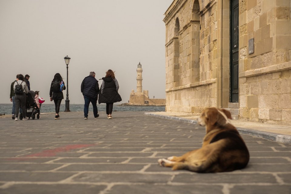 Φωτογραφία: ΓΙΑΝΝΗΣ ΑΓΓΕΛΑΚΗΣ/EUROKINISSI