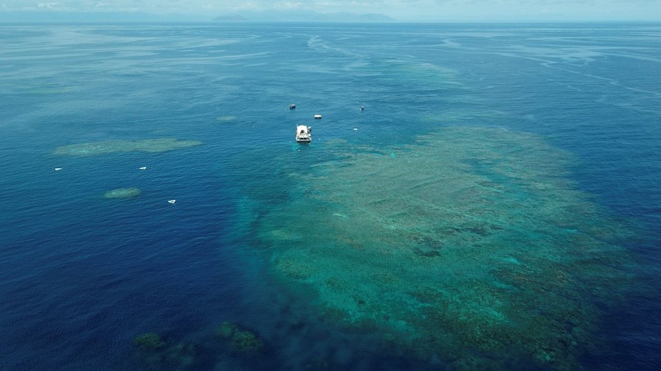  Ο τεράστιος κοραλλιογενής σχηματισμός / Φωτογραφία: AP 