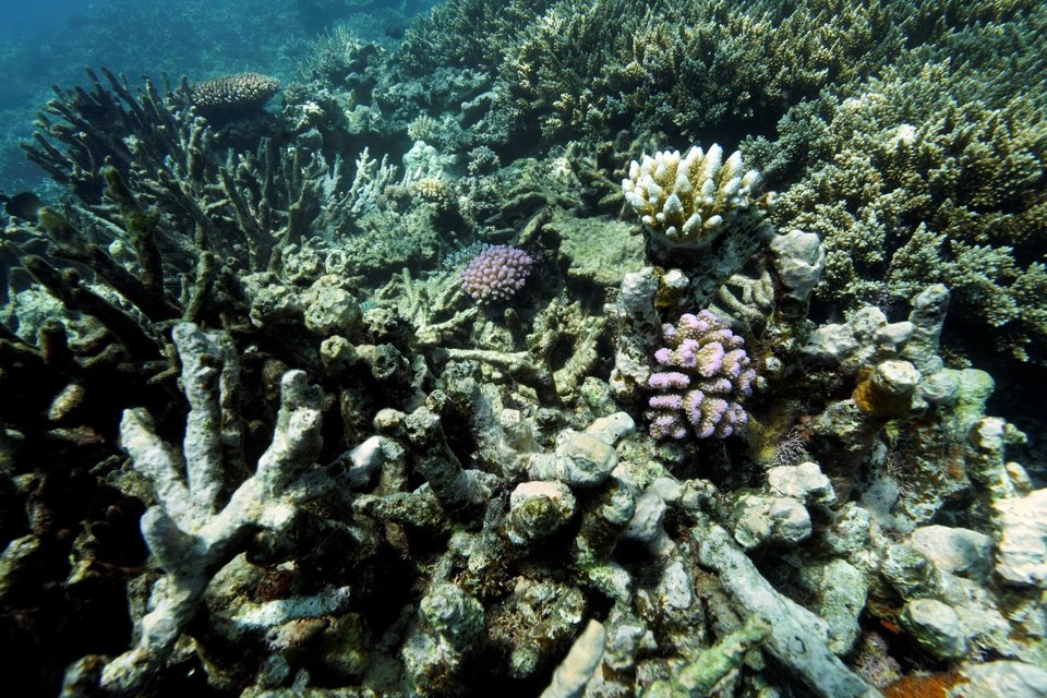 Φωτογραφία: AP 