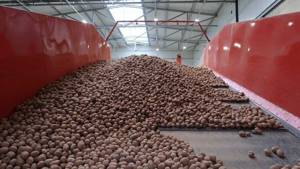 Στο Βερολίνο, μια απρόσμενη «γιορτή της πατάτας» εξελίσσεται σε κοινωνικό γεγονός των ημερών / ΑΡ