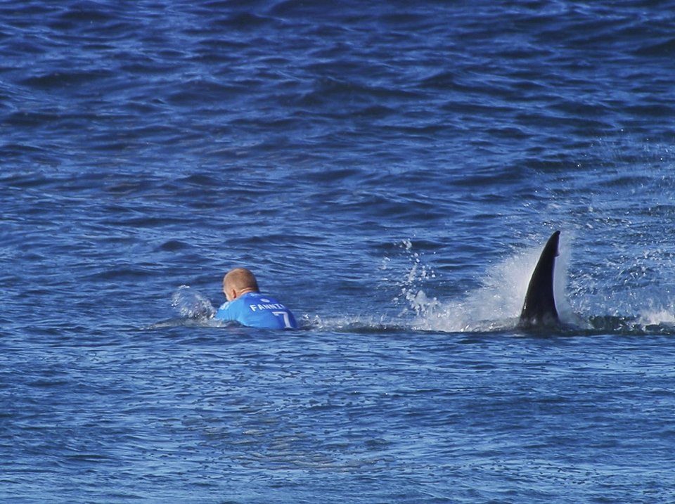 Παρά την εντύπωση που δημιουργείται, οι επιθέσεις παραμένουν σπάνιες σε σχέση με τον τεράστιο αριθμό ανθρώπων που μπαίνουν καθημερινά στον ωκεανό, ενώ οι θανατηφόρες περιπτώσεις είναι ακόμη πιο περιορισμένες / AP 