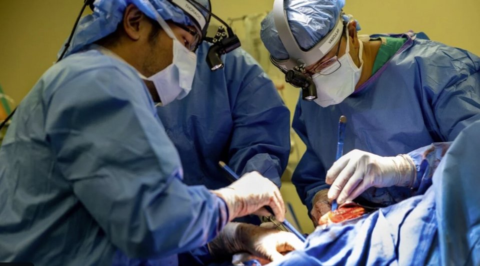 Οι ίδιοι οι γιατροί υπογραμμίζουν ότι προς το παρόν πρόκειται για απόδειξη ιδέας, όχι για μια έτοιμη λύση που μπορεί να εφαρμοστεί παντού / SHUTTERSTOCK