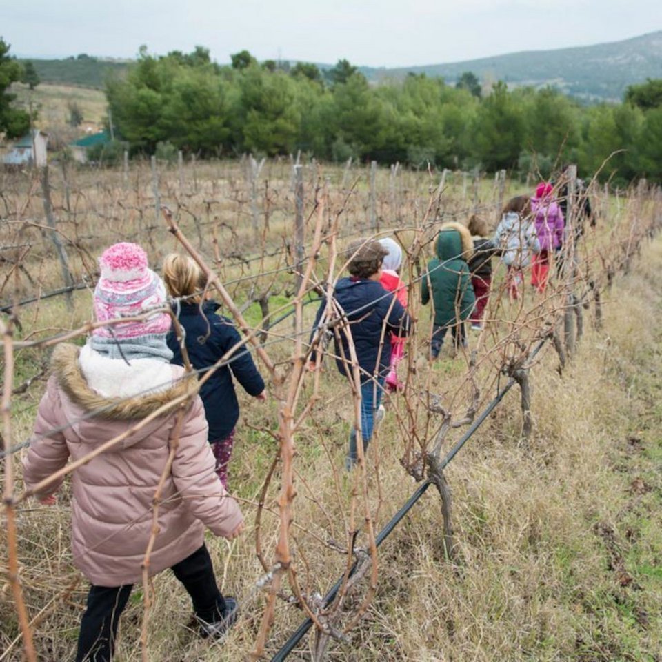 Κυριακάτικη εμπειρία για όλη την οικογένεια στο Οινοποιείο του Γιώργου Κοκοτού στη Σταμάτα