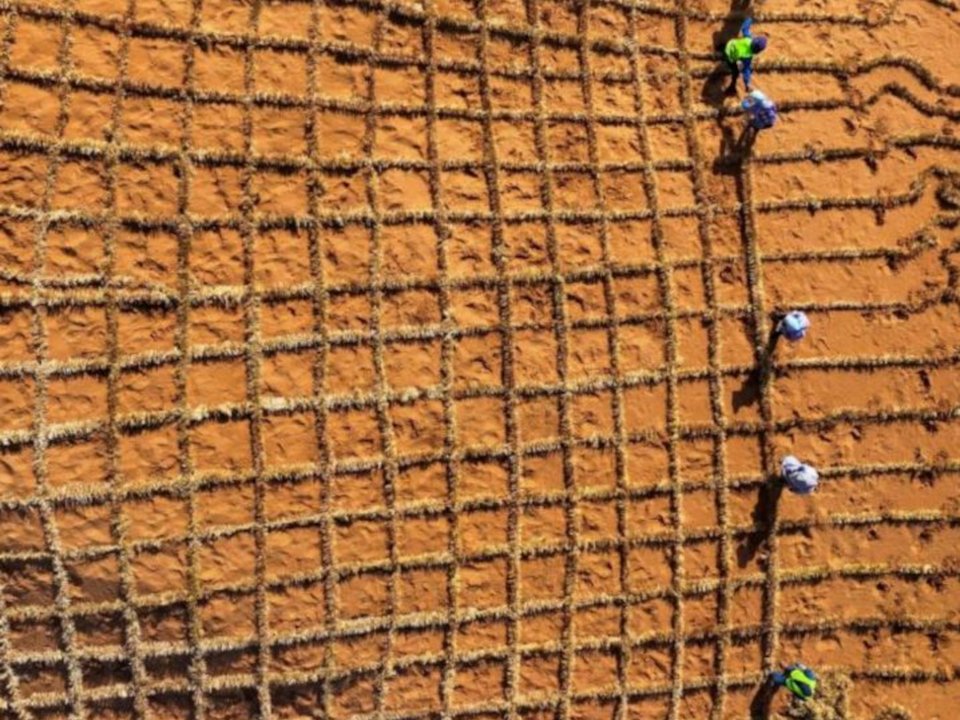 Γόνιμο έδαφος σε μόλις 10 μήνες / Φωτογραφία: Screenshot