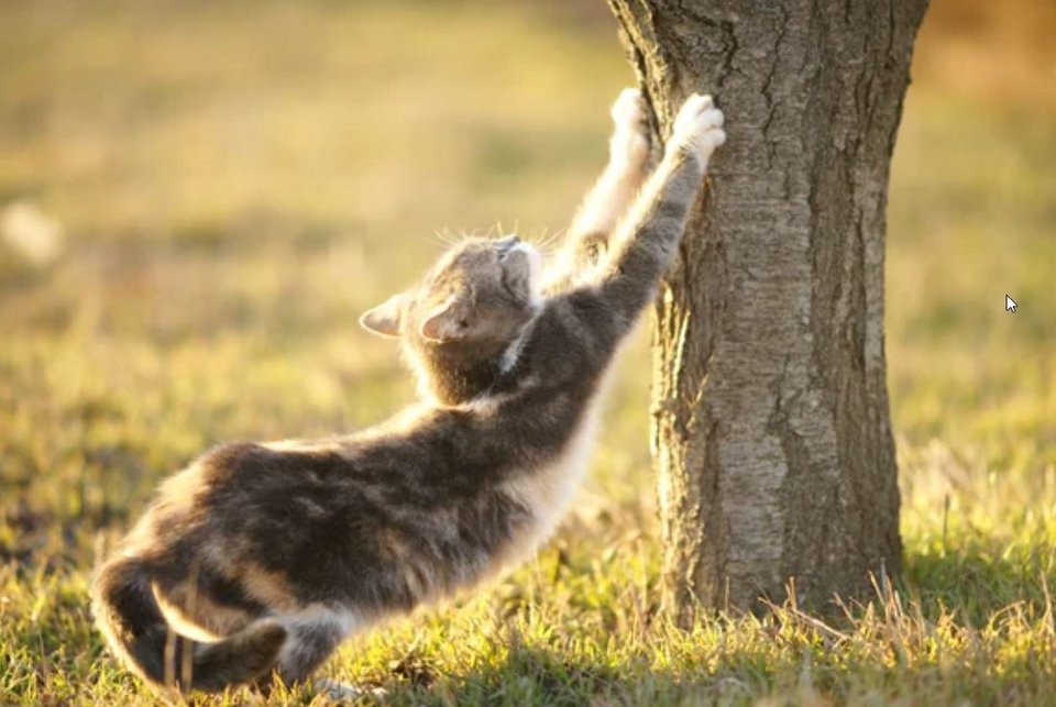 Φωτογραφία: Shutterstock