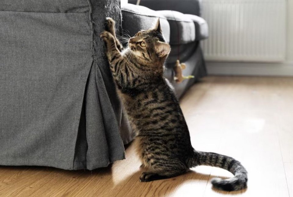 Φωτογραφία: Shutterstock 