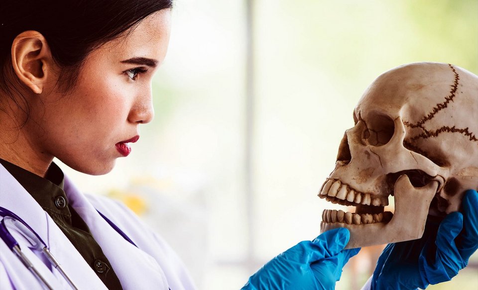 Κι όμως, παρά τη φαινομενική του απλότητα, το πηγούνι παραμένει ένα από τα πιο αινιγματικά γνωρίσματα της ανθρώπινης εξέλιξης: γιατί εμφανίστηκε; Εξυπηρετεί κάτι συγκεκριμένο ή είναι απλώς ένα παράπλευρο αποτέλεσμα άλλων μεταβολών; / SHUTTERSTOCK