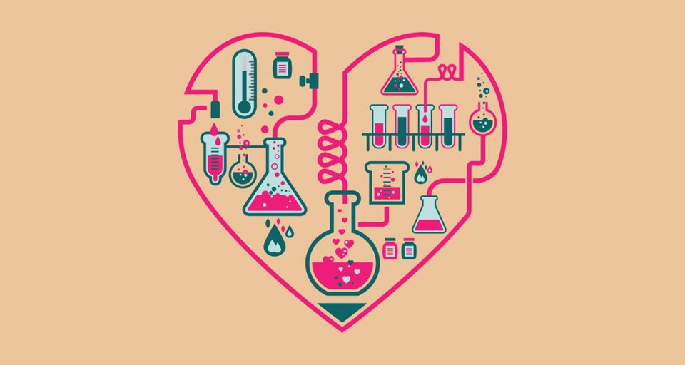 Η Επιστήμη της Αγάπης: Έρωτας, Εγκέφαλος και Ορμόνες