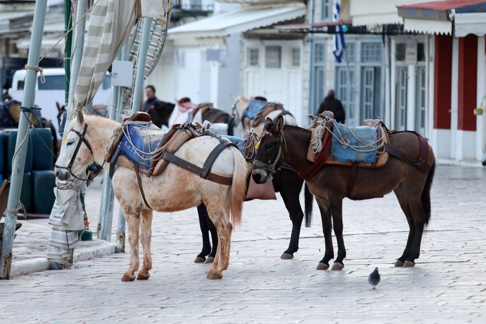 Η Υδρα έχει αποκτήσει μία ρετρό εικόνα 
